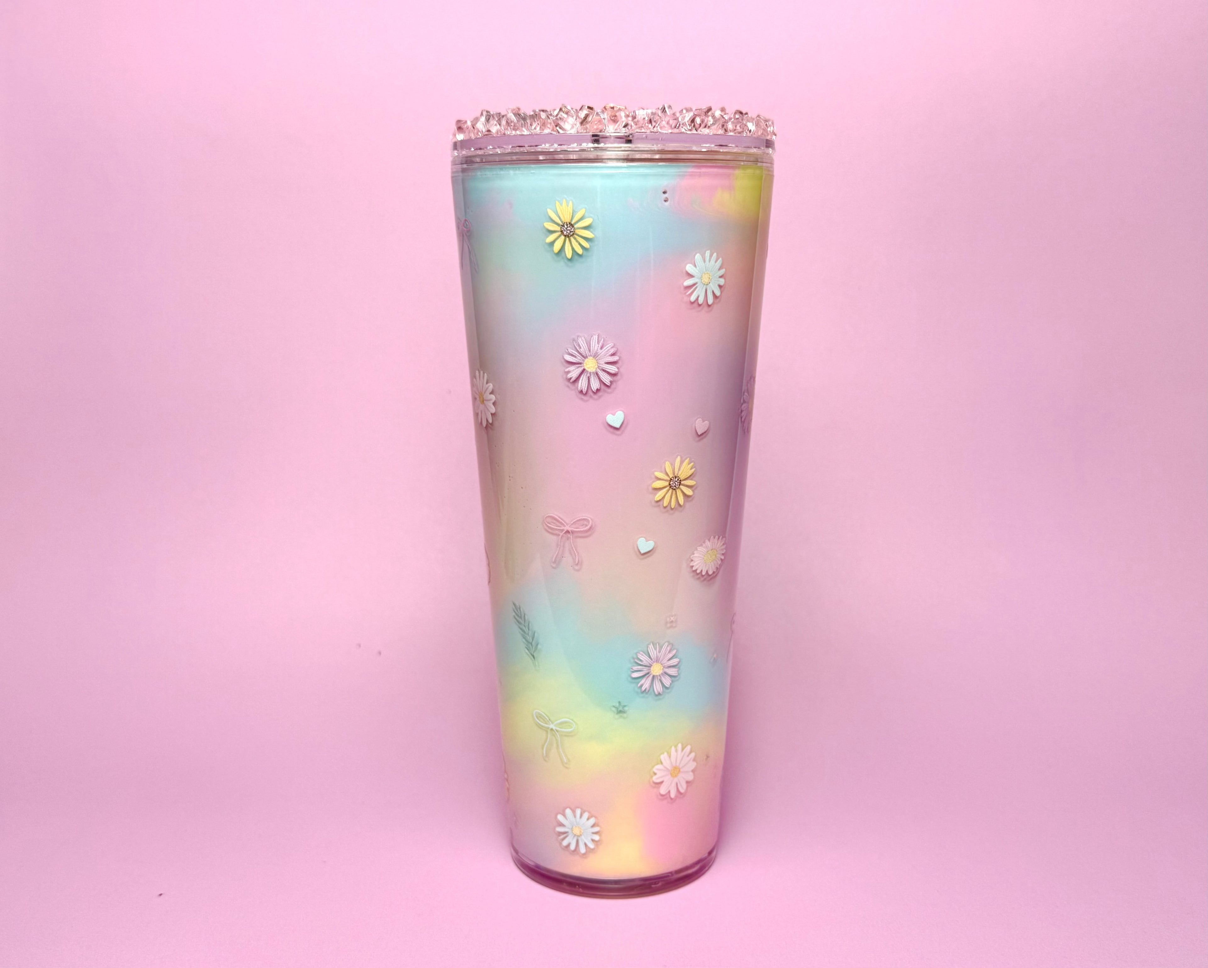 Rainbow Daisies Snow Globe Tumbler 24oz